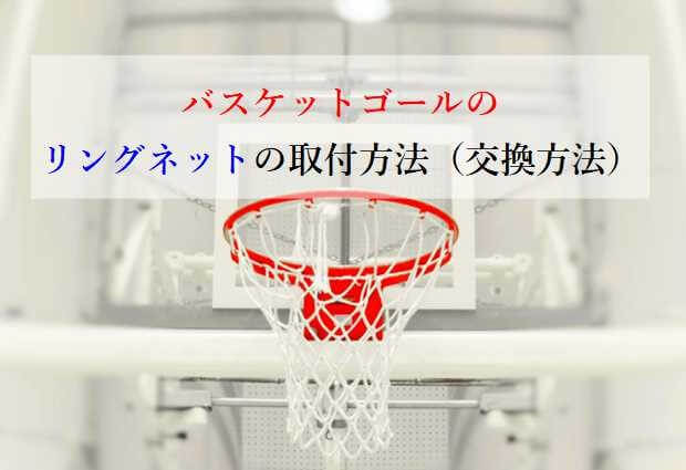 最安値で Swish ポータブル バスケットゴール 持ち運びできる 高さ調整